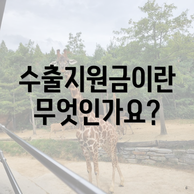 수출지원금이란 무엇인가요?