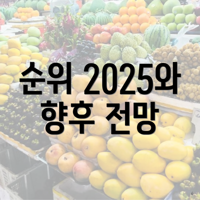 순위 2025와 향후 전망