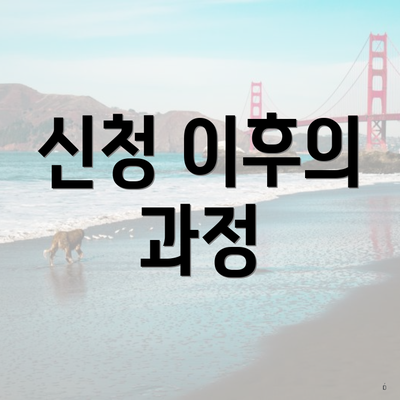 신청 이후의 과정