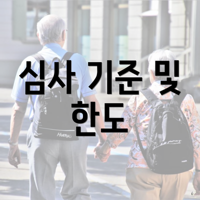 심사 기준 및 한도