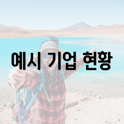예시 기업 현황