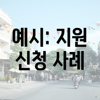 예시: 지원 신청 사례