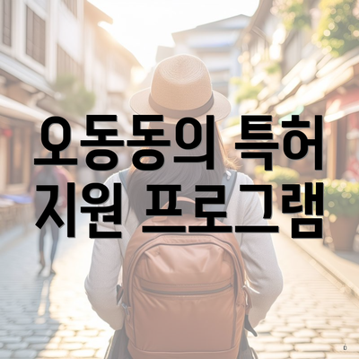 오동동의 특허 지원 프로그램