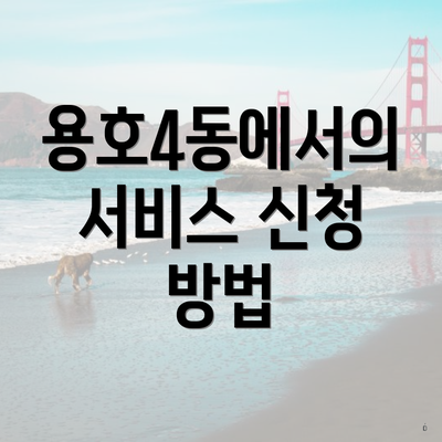 용호4동에서의 서비스 신청 방법