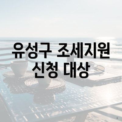 유성구 조세지원 신청 대상