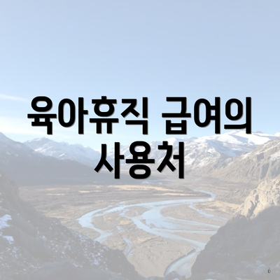 육아휴직 급여의 사용처