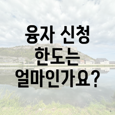 융자 신청 한도는 얼마인가요?