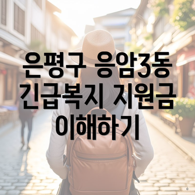은평구 응암3동 긴급복지 지원금 이해하기