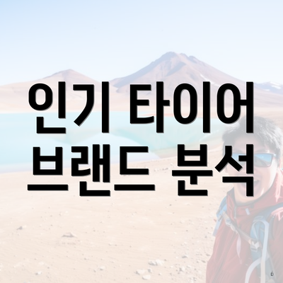 인기 타이어 브랜드 분석