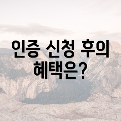 인증 신청 후의 혜택은?