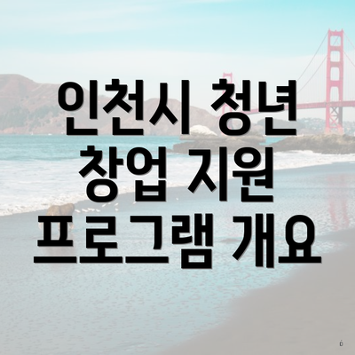 인천시 청년 창업 지원 프로그램 개요