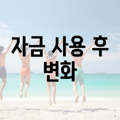 자금 사용 후 변화