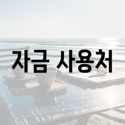 자금 사용처