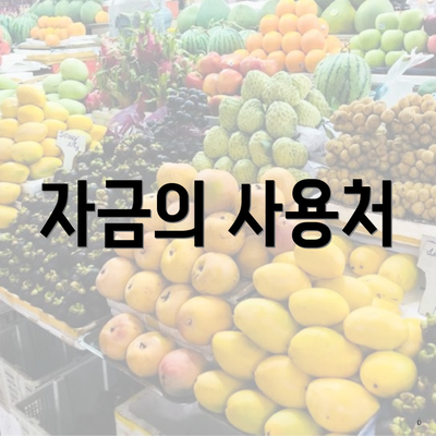 자금의 사용처