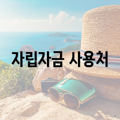 자립자금 사용처