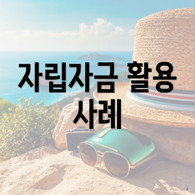 자립자금 활용 사례
