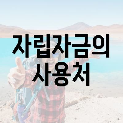 자립자금의 사용처