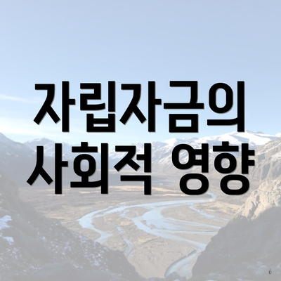 자립자금의 사회적 영향