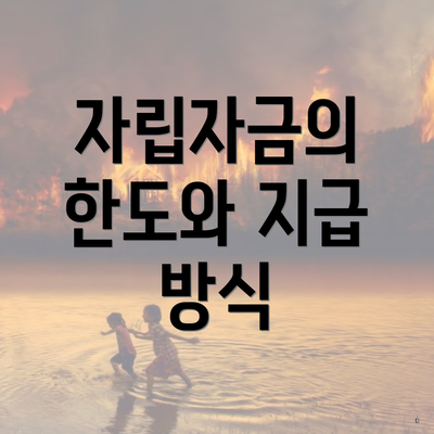 자립자금의 한도와 지급 방식