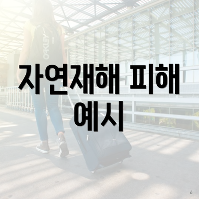 자연재해 피해 예시