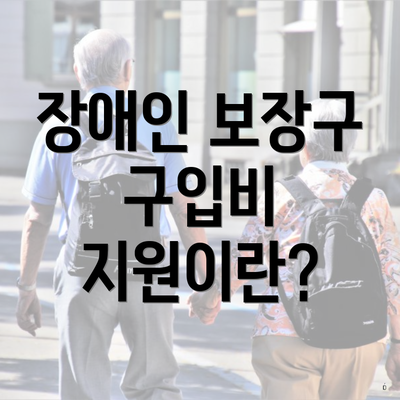 장애인 보장구 구입비 지원이란?