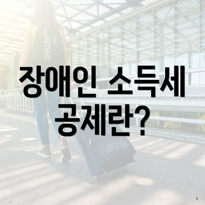 장애인 소득세 공제란?