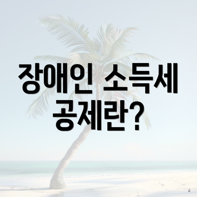 장애인 소득세 공제란?
