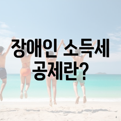 장애인 소득세 공제란?