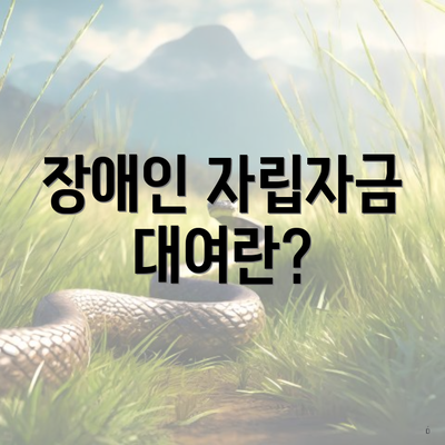 장애인 자립자금 대여란?