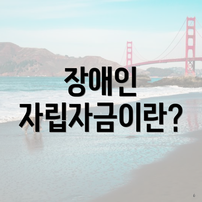 장애인 자립자금이란?