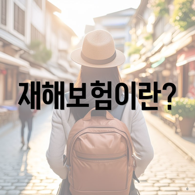 재해보험이란?
