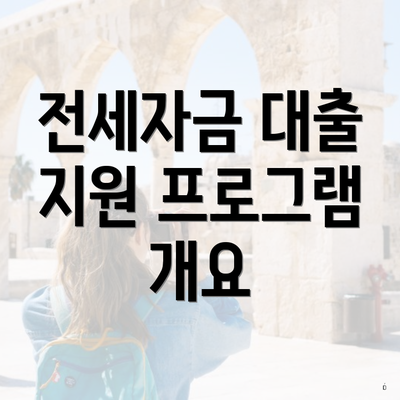 전세자금 대출 지원 프로그램 개요