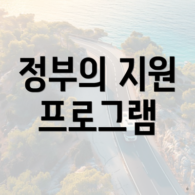 정부의 지원 프로그램