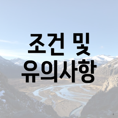 조건 및 유의사항