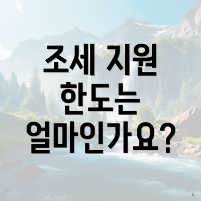 조세 지원 한도는 얼마인가요?