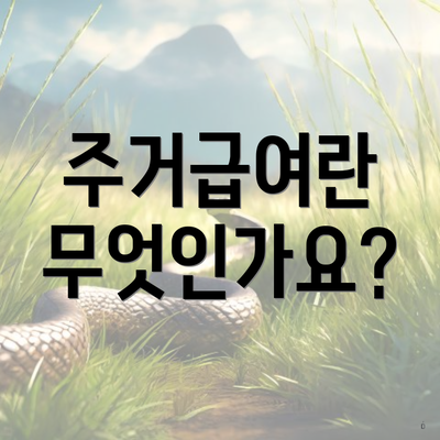 주거급여란 무엇인가요?