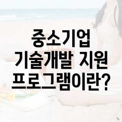 중소기업 기술개발 지원 프로그램이란?