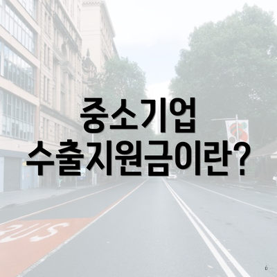 중소기업 수출지원금이란?