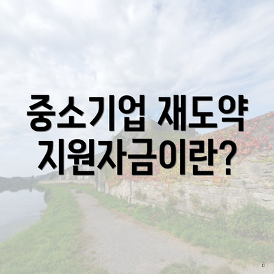 중소기업 재도약지원자금이란?
