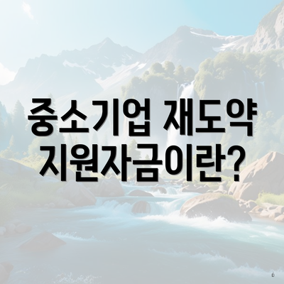중소기업 재도약지원자금이란?