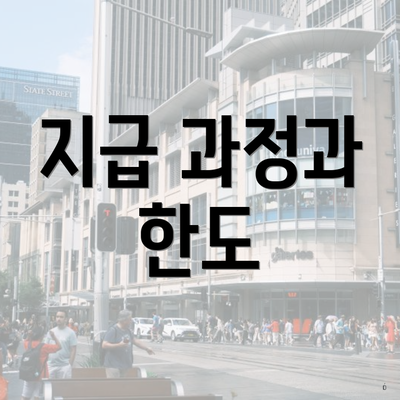 지급 과정과 한도