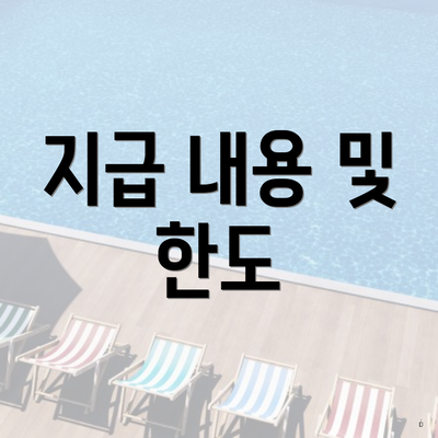 지급 내용 및 한도