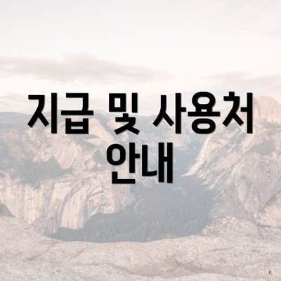 지급 및 사용처 안내