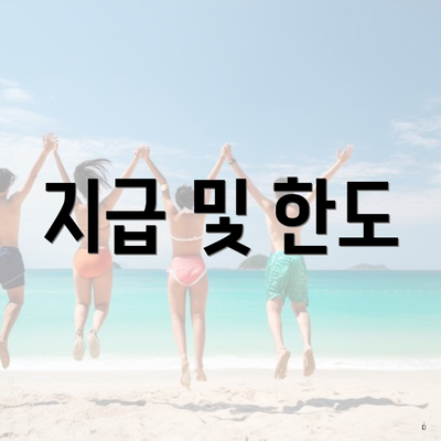 지급 및 한도
