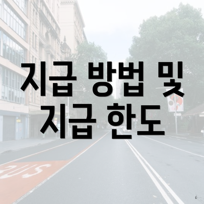 지급 방법 및 지급 한도