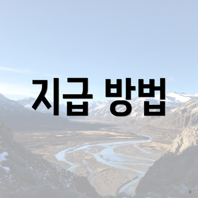 지급 방법