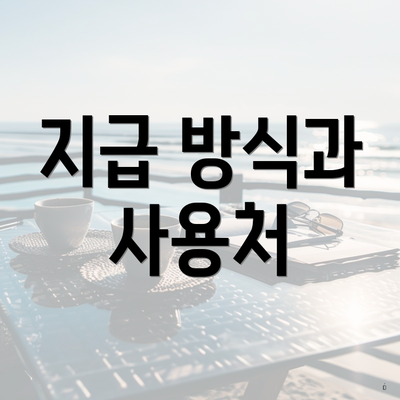 지급 방식과 사용처