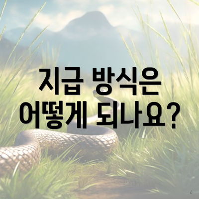 지급 방식은 어떻게 되나요?