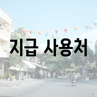 지급 사용처