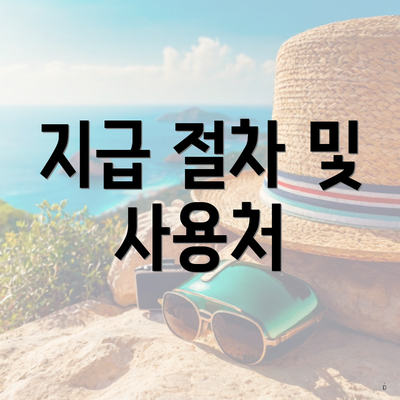 지급 절차 및 사용처